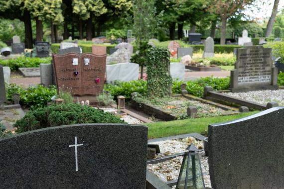 Quelle plante pour une tombe paysagère ?